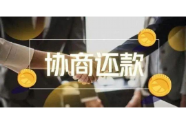 清丰为什么选择专业追讨公司来处理您的债务纠纷？